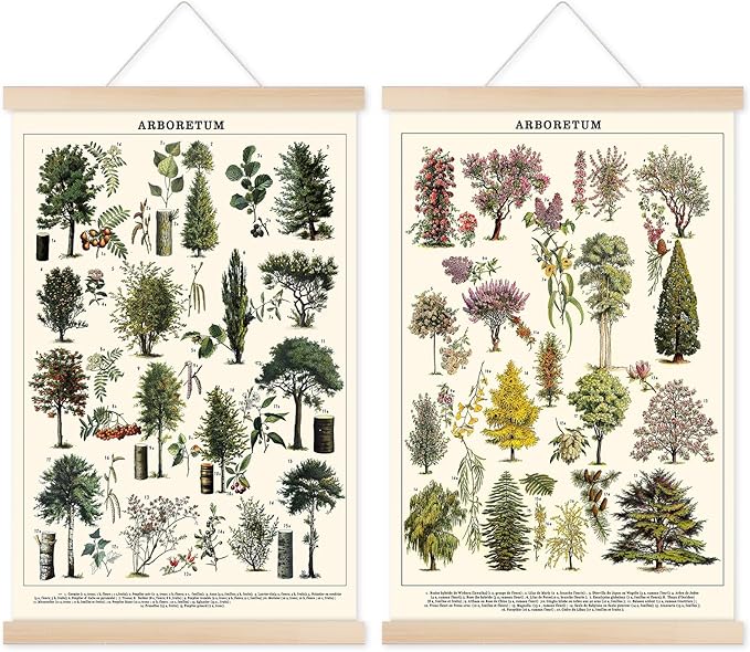 Chenkaiyang Vintage Tree Poster (2 Pcs), Green Tree Wall Art Prints, Rustic Retro Tree Chart, Living Room Decor
