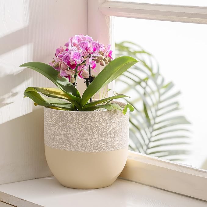UBEE Ceramic Flower Pot Plant Pot for Indoor Plants | 6 inch Planter with Drainage Hole for Aloe, Snake Plants, Pothos, Orchid, Succulents, Herbs, Home Decor, Beige