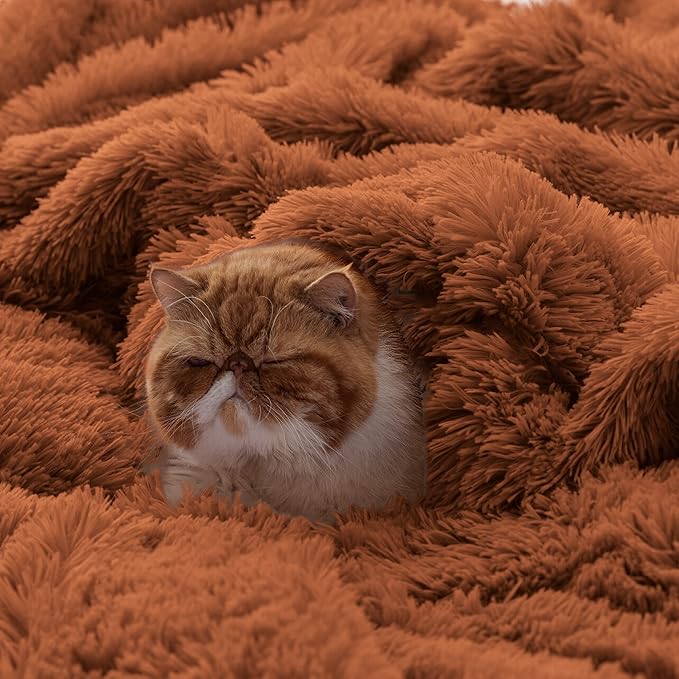 Bedsure Fluffy Burnt Orange King Size Blanket for Bed, Thick Soft Sherpa Faux Fur Fleece Bedding Fuzzy Plush Winter Warm Heavy Oversize Big Large King Blanket, Cozy Orange Gifts for Men Women, 108x90