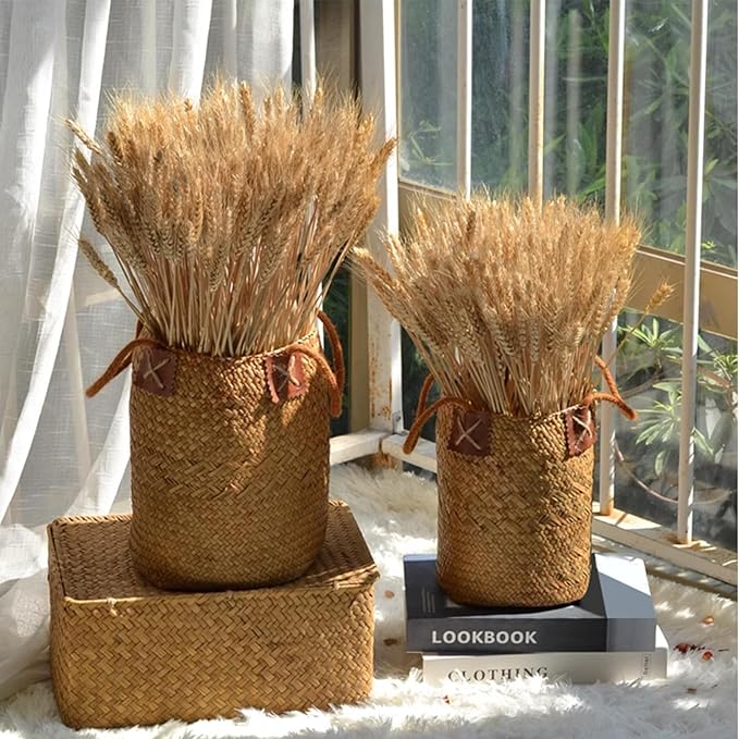 500 Pcs Dried Flower Dried Wheat Stalks Wheat Grass Decor Dried Flowers Arrangement for Home Table Wedding DIY Design Party Farmhouse Decor (16")