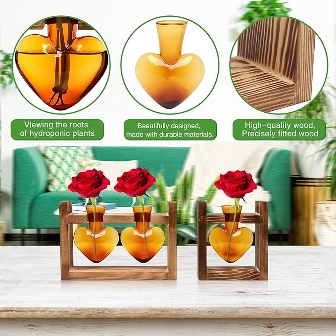 2+1 Plant Terrarium Plant Propagation Station Birthday Gifts for Women Plant Lovers Home Office Decor with Wooden Stand