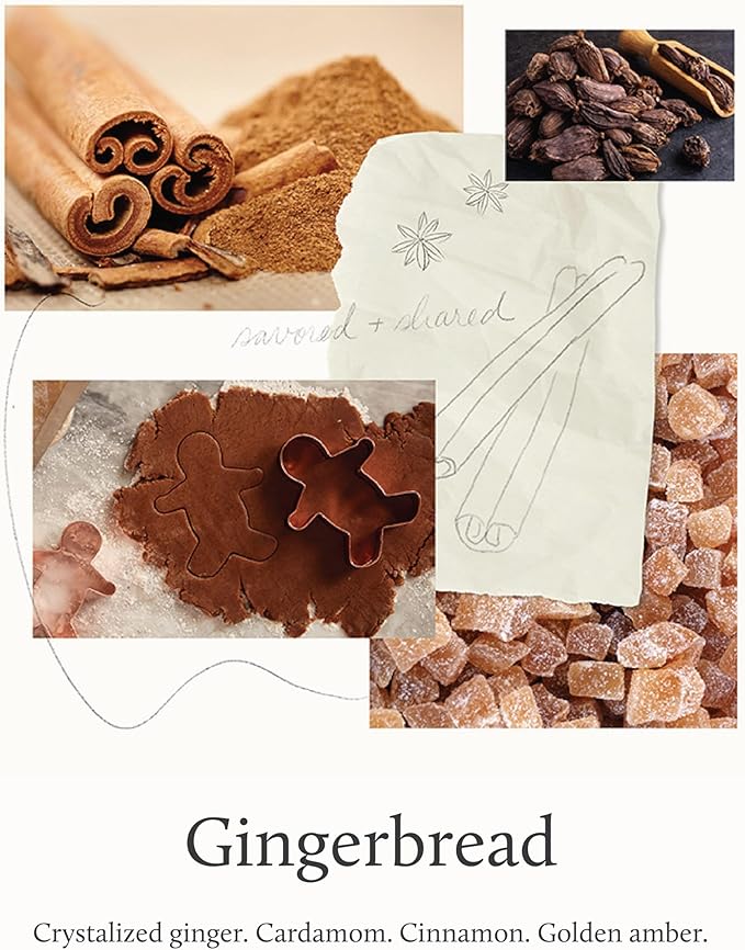 Thymes Gingerbread Pura Smart Home Plug-in Scent Diffuser Refills - Pack of 2