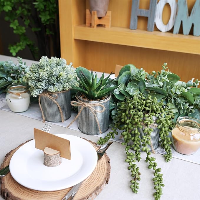 Winlyn Set of 3 Small Artificial Succulent Potted Plants Faux Aloe Hops Hanging Succulent in Rustic Galvanized Metal Pots Fake Plant Decor for Farmhouse Home Office Wedding Windowsill Table Shelf