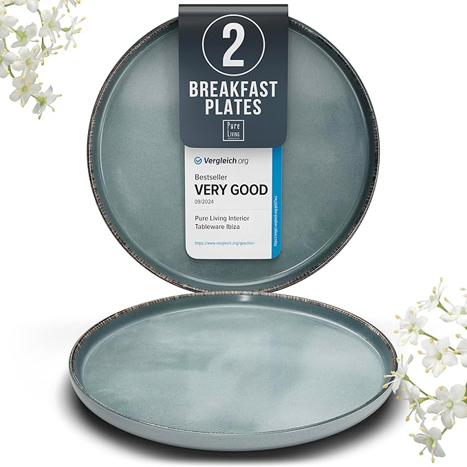 Stoneware Small Dinner Plates Set of 2, Modern Rustic -Style Stoneware , 7.9"" Ceramic Plates , Dishwasher, Microwave Safe Dinner Plates, Stoneware Plates, Kitchen Plates-Rustic Blue, Large