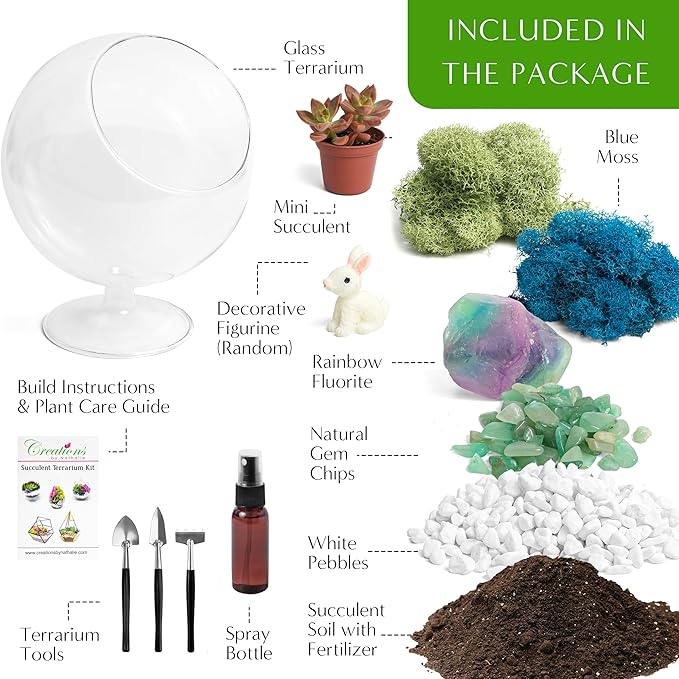 6" DIY Chalice Terrarium Kit with Live Plants - Build Your Own Glass Terrarium for Adults & Kids with Moss, Crystals, Soil, Tools & Figurine - Mini Ecosystem - Made in The USA