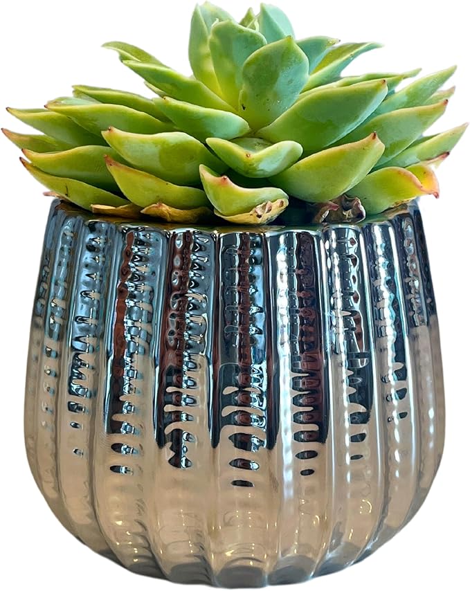 Admired by Nature 4" Ceramic Flower Planter, Ceramic Pot Planter, Indoor Ceramic Bowl, Houseplant Ceramic Pot, Decorative Planter for Indoor Plant Succulent Plant Home Décor, Lightweight, Chrome
