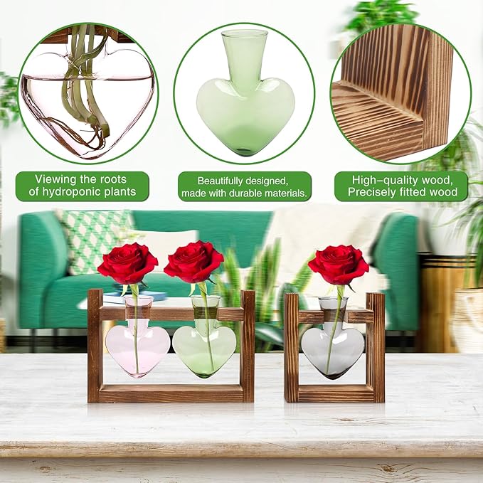 2+1 Plant Terrarium Plant Propagation Station Birthday Gifts for Women Plant Lovers Home Office Decor with Wooden Stand