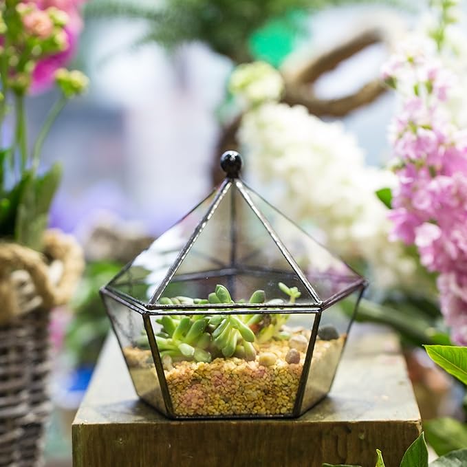 NCYP Modern Clear Glass Jewelry Box with Swing Lid, Geometric Pentagon Shape Terrarium for Succulent Fern, Garden Display Planter Tabletop Decor Centerpiece Container (NO Plants)