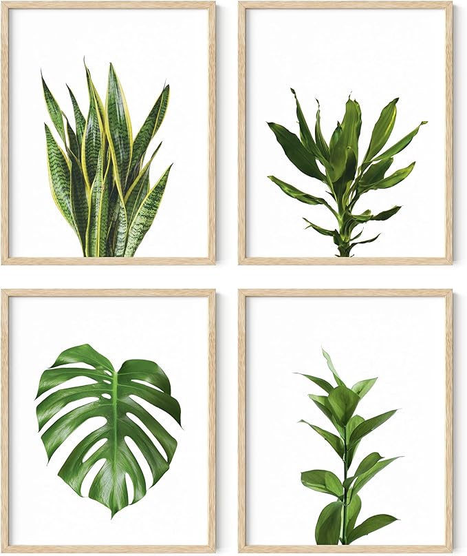 HAUS AND HUES Plant Photo Set of 4-16x20 Framed Beige