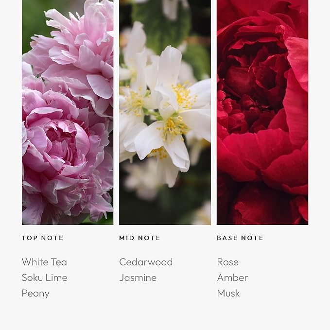 Aroma360 | London Calling Oil Blend | Luxury Aromatherapy Scent Diffuser Oil | White Tea, Cedarwood and Soku Lime, 6.7 fl oz