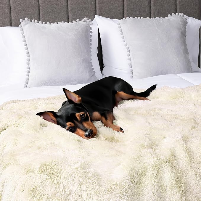 PAVILIA Cream Beige Fluffy Bed Blanket, Queen Size, Fuzzy Blanket for Women Men, Furry Plush Warm Large Blanket for Couch Sofa, Super Soft Thick Faux Fur Sherpa Blanket, 90x90