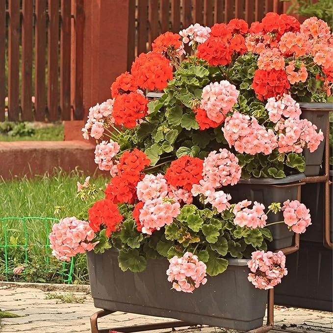 Fake Outdoor Flowers, Artificial Flowers For Outdoors, Mixed Color Artificial Geraniums Plastic Flowers 4 Pcs, Fake Plant For Outside, Silk Faux Flowers Outdoor Planters UV Resistant For Front Porch
