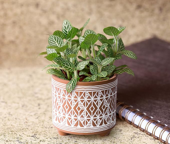 D'vine Dev Set of 2 Terracotta Planter Pots, 4 Inch & 6 Inch, Design Plants Pot with Drainage Hole, Savanna Weave, Terracotta/White, 31-953-G-1