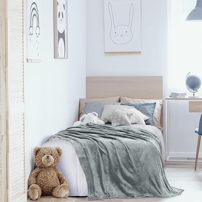 Utopia Bedding Fleece Blanket Twin Size Ash Grey 300GSM Luxury Anti-Static Fuzzy Soft Microfiber Bed Blanket (60x80 Inch)