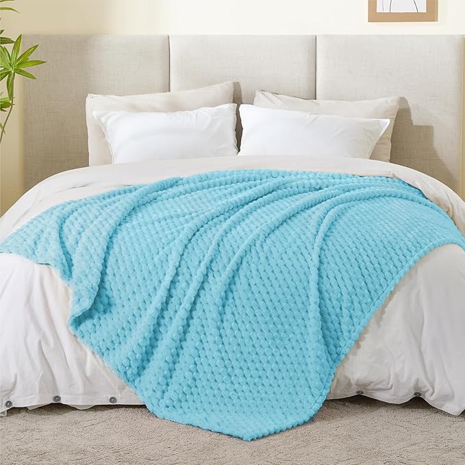 BEDELITE Fleece Blanket - 3D Jacquard Decorative Light Blue Throw Blankets for Couch & Bed, Soft and Cozy Warm Plush Fluffy Blanket All Seasons Suitable, 50x60Inches