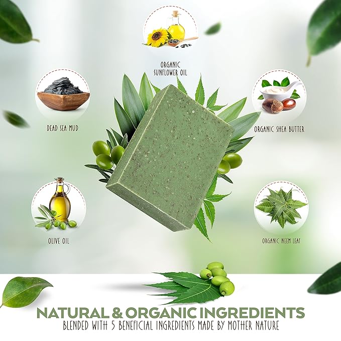 Aspen Kay Naturals Soap Bars 4.5oz, Dead Sea Mud and Neem