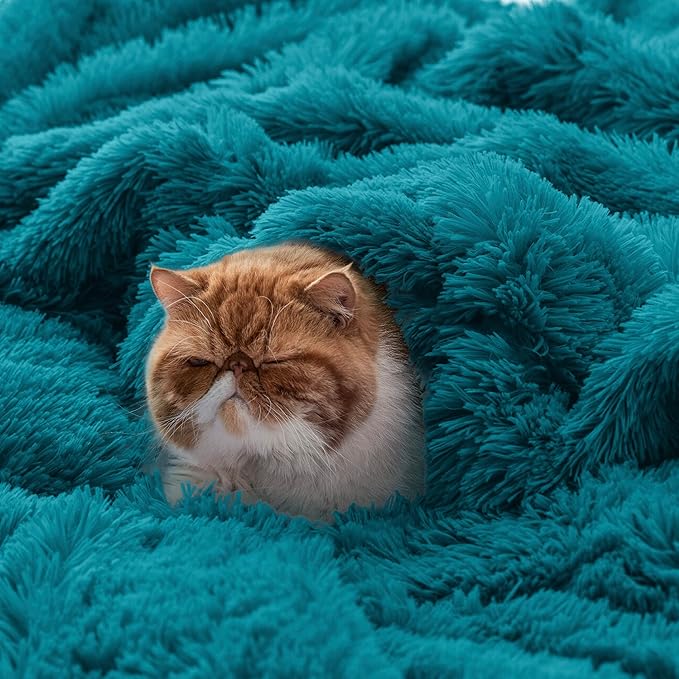 Bedsure Fluffy Turquoise Teal Blankets Queen Size for Bed, Thick Sherpa Faux Fur Fleece Fuzzy Plush Winter Warm Soft Full Queen Blankets, Bedroom Decor Teal Gifts Cozy Gifts for Women Men, 90x90