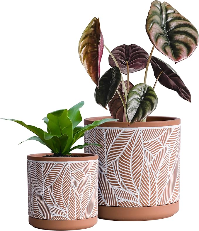D'vine Dev Set of 2 Terracotta Pots, Leaves Pattern Planter Pot, 4 Inch and 6 Inch, Pot with Drainage Hole and Saucer, Terracotta/White, 31-958-I-1