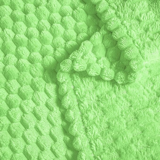 Vessia Flannel Fleece Throw Blanket(50x70 inch), 3D Jacquard Light Green Fuzzy and Warm Blanket for Couch,Sofa,Bed, 300GSM Super Soft Touch Cozy Lightweight Throw for All-Season Home Decor