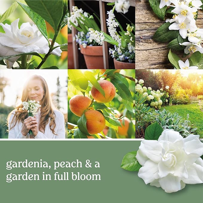 Yankee Candle White Gardenia Scented, Classic 22oz Large Jar Single Wick Candle, Over 110 Hours of Burn Time