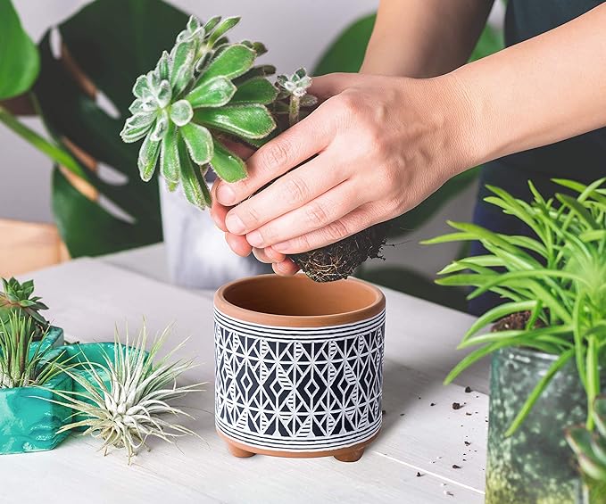 D'vine Dev Set of 2 Terracotta Planter Pots, 4 Inch & 6 Inch, Design Plants Pot with Drainage Hole, Midnight Weave, Terracotta/Black, 31-953-G-2