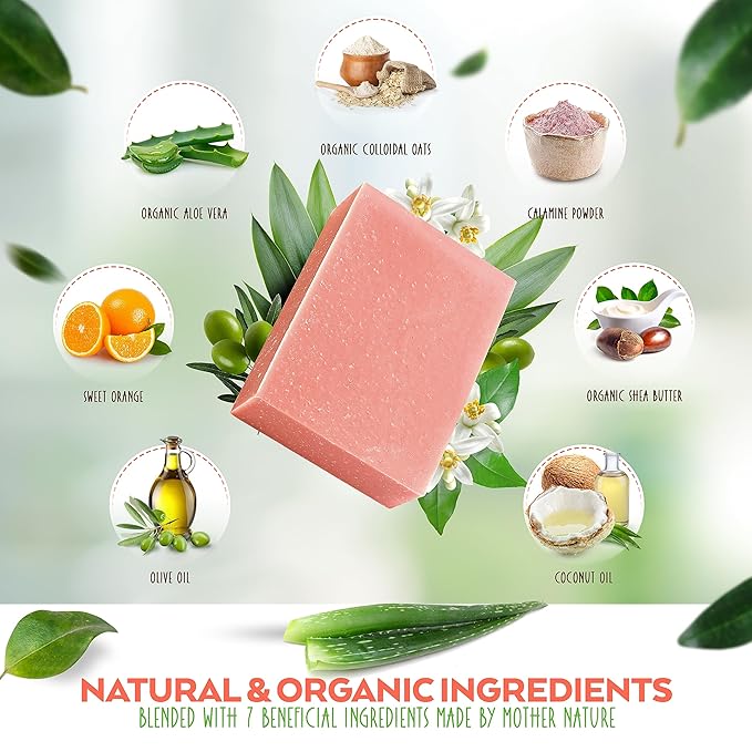 Aspen Kay Naturals Soap Bars (1, Aloe Vera & Oat Meal With Calamine)