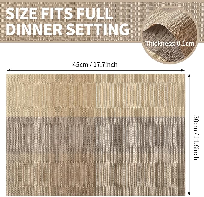 Champagne Modern Placemats Set of 6-Durable PVC Table placemats,Vinyl Woven Place Mats for Dining Table Heat Resistant Non-Slip Washable Indoor/Outdoor Table Mats 12 * 17 inch