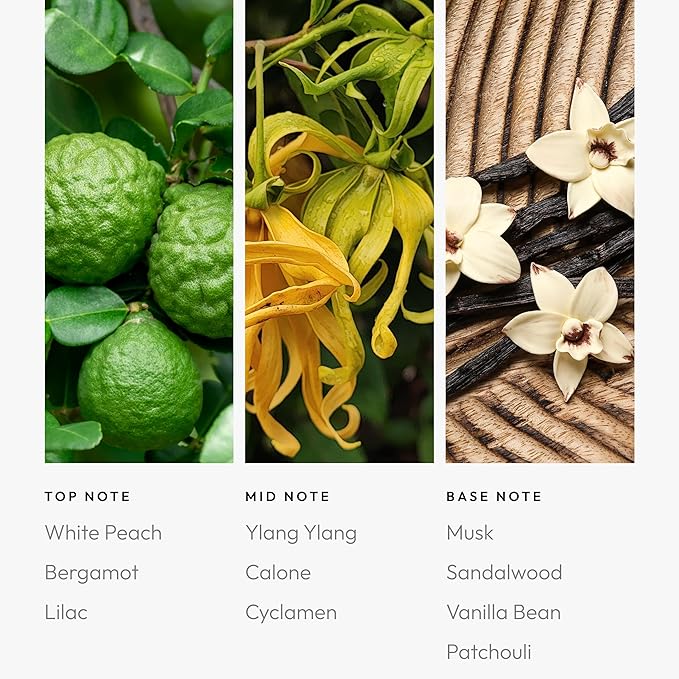 Aroma360 Smooth Operator 120mL