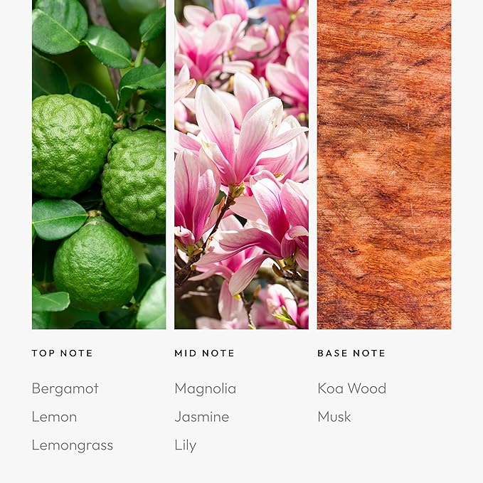 Aroma360-24K Magic Fragrance Oil Blend | Hotel Inspired Luxury Essential Oil Diffusers | Aromatherapy Scent Diffuser Oil | Citrus, Bergamot, Lemon & Lemongrass with Notes of Jasmine. - 120ML
