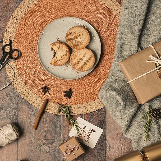 Noctiflorous Round Braided Placemats Set of 6 Table Mats 15 Inches Washable Heat Resistant for Dining Table Non-Slip Indoor Outdoor Place Mats for Thanksgiving Christmas Easter(Orange Wide Edge 6)