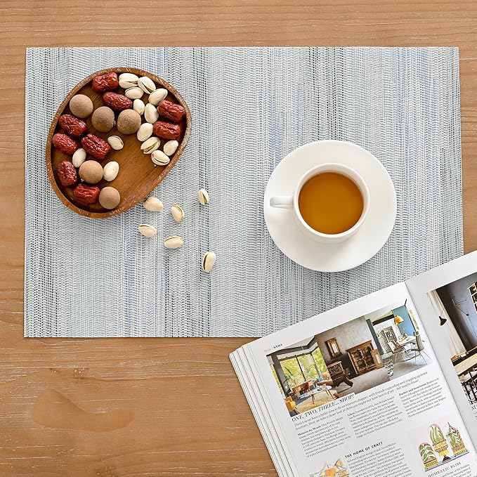 Leetaltree LightSteel Blue Placemats Set of 12 - Heat Resistant Non-Slip Place mats for Dining Table, Washable Durable PVC Vinyl Woven Table Mats(LightSteel Blue, 12)