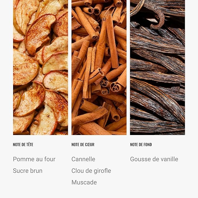 Hotel Collection | Warm Cinnamon Apple Oil Blend | Luxury Hotel Inspired Aromatherapy Scent Diffuser Oil | Apple, Cinnamon and Nutmeg 4.1 fl oz 120 mL