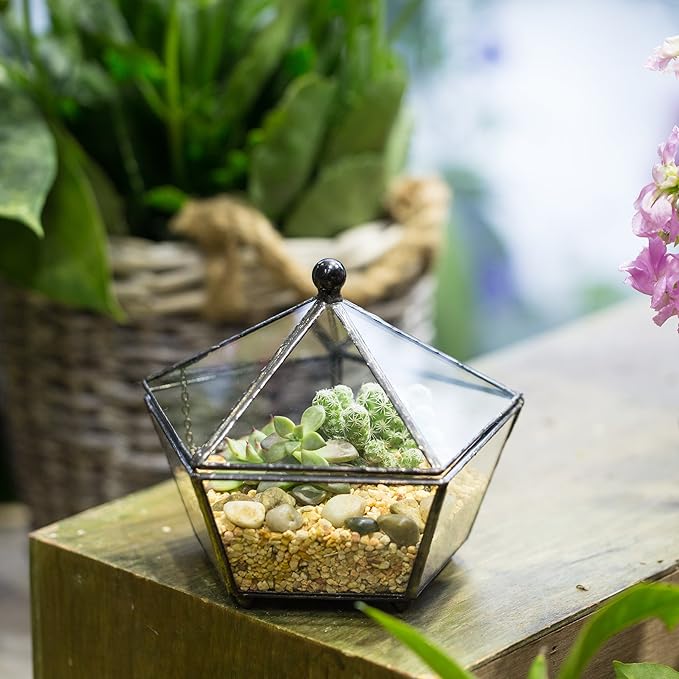 NCYP Small Glass Geometric Terrarium, Closed Jewel-Boxed Shape Container, Plant Succulent Planter, Indoor Outdoor Garden Decor Flower Pot Handmade (Terrarium Only)