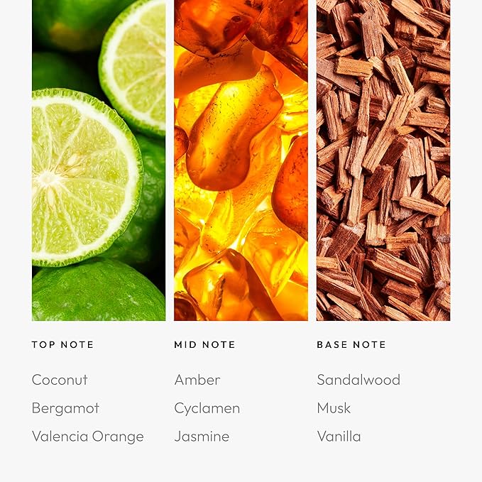Aroma360 | Disney Down in New Orleans Fragrance Oil Blend | The Princess and The Frog | Princess Tiana | Aromatherapy Scent Diffuser Oil | Coconut Bergamot Valencia Orange 1.7 fl oz 50mL