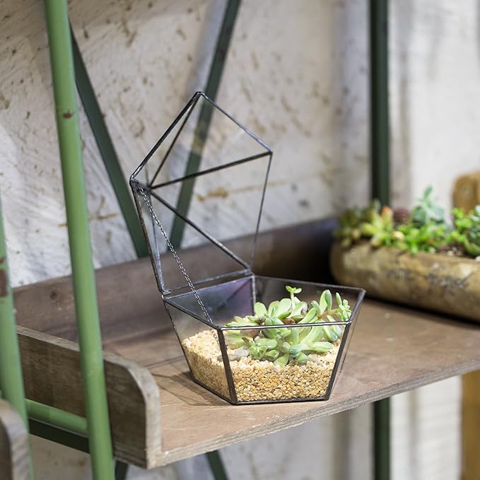 NCYP Modern Clear Glass Jewelry Box with Swing Lid, Geometric Pentagon Shape Terrarium for Succulent Fern, Garden Display Planter Tabletop Decor Centerpiece Container (NO Plants)