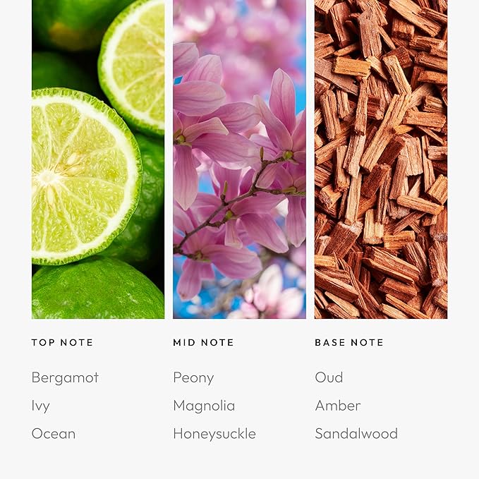 Aroma360 | Disney Under the Sea Fragrance Oil Blend | The Little Mermaid | Princess Ariel | Luxury Essential Oil Diffuser | Aromatherapy Scent Diffuser Oil | Bergamot, Ivy and Ocean 16.9 fl oz, 500 mL