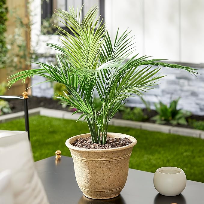 The HC Companies Sierra Round Self-Watering Pot - Lightweight Plastic Planter for Herbs & More - Durable Plant Pots for Indoor Plants & Outdoor Plants (10” Arizona Sand, Pack of 1)