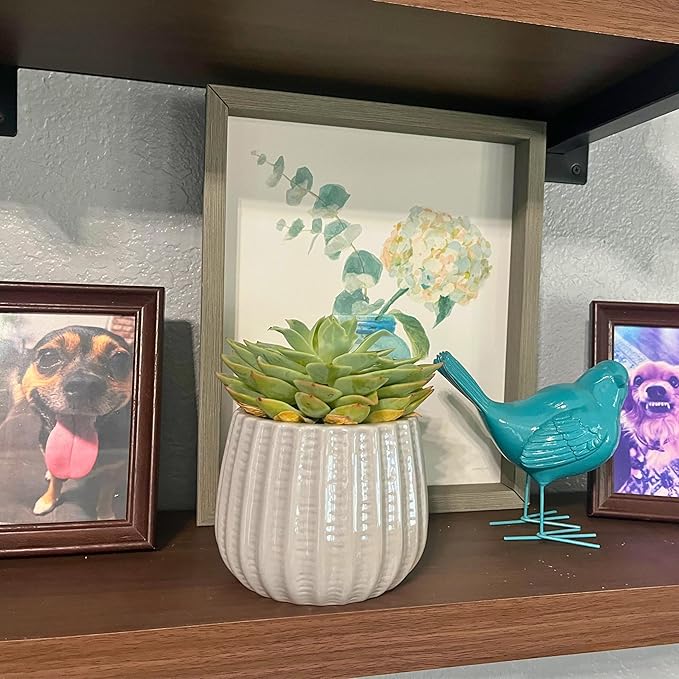 Admired by Nature 4" Ceramic Flower Planter Houseplant Ceramic Pot, Decorative Planter for Indoor Plant Succulent Plant Home Décor, Lightweight, Grey, Gray