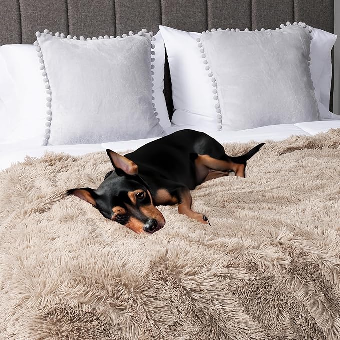 PAVILIA Taupe Tan Fluffy Throw Blanket for Couch, Fuzzy Blanket for Women Men, Furry Plush Warm Blanket Bed Sofa, Super Soft Thick Faux Fur Sherpa Blanket Throw, 50x60