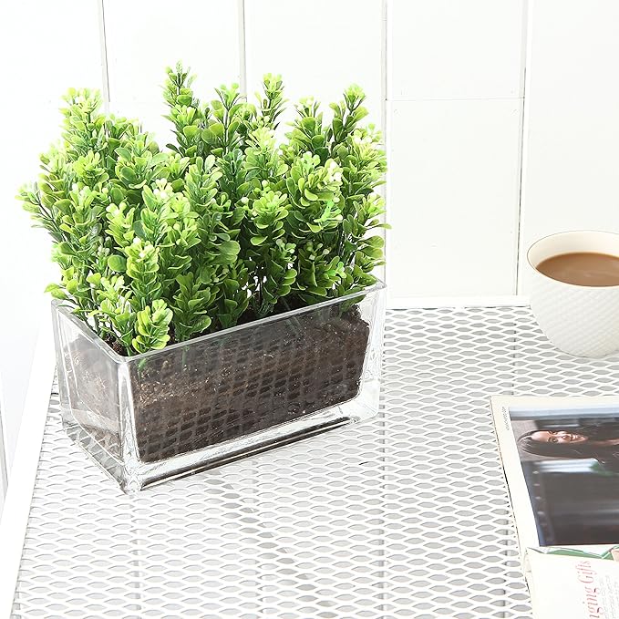 MyGift 7.8 inch Modern Rectangular Glass Vase, Trough Planter, Tabletop Glass Terrarium