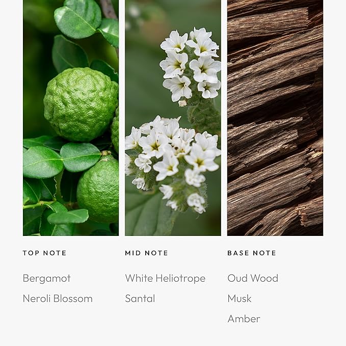 Aroma360 Stargazing 500mL