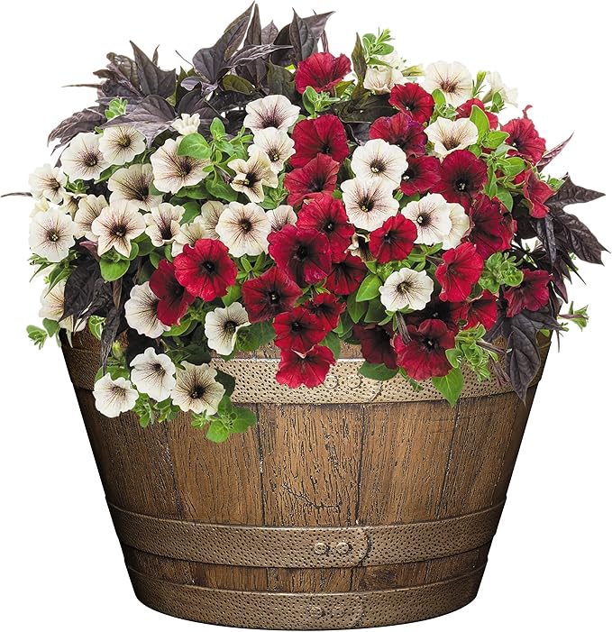Classic Home and Garden Whiskey Barrel Planter, 20.5", Distressed Oak