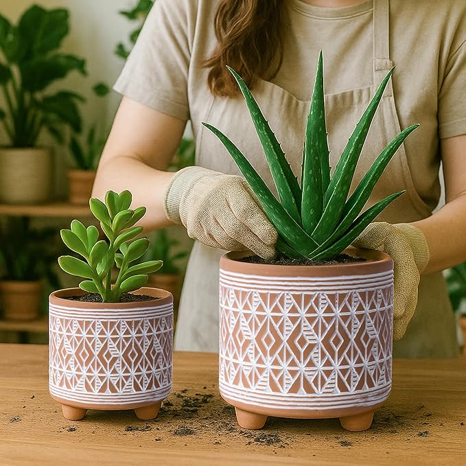 D'vine Dev Set of 2 Terracotta Planter Pots, 4 Inch & 6 Inch, Design Plants Pot with Drainage Hole, Savanna Weave, Terracotta/White, 31-953-G-1