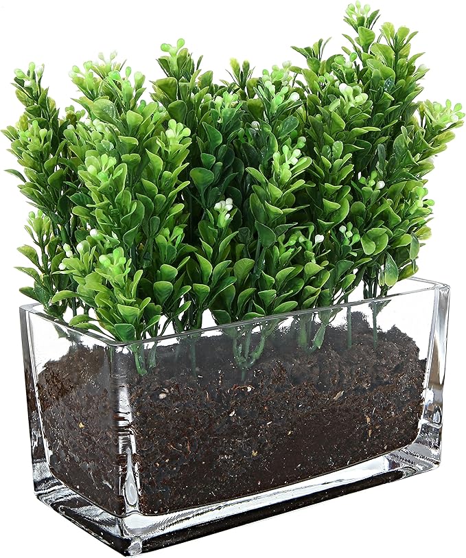 MyGift 7.8 inch Modern Rectangular Glass Vase, Trough Planter, Tabletop Glass Terrarium