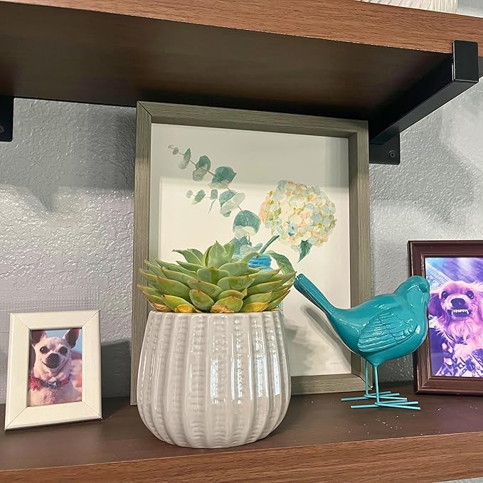 Admired by Nature 4" Ceramic Flower Planter Houseplant Ceramic Pot, Decorative Planter for Indoor Plant Succulent Plant Home Décor, Lightweight, Grey, Gray