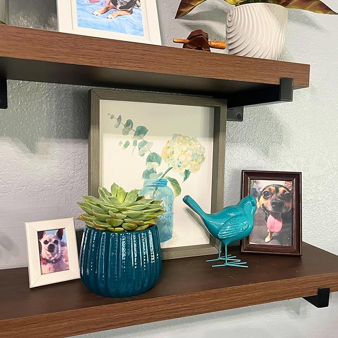 Admired By Nature 4" Ceramic Flower Planter, Ceramic Pot Planter, Indoor Ceramic Bowl, Houseplant Ceramic Pot, Decorative Planter for Indoor Plant Succulent Plant Home Décor, Lightweight, Turquoise