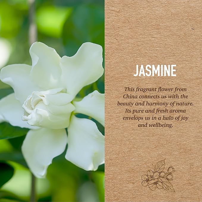 | Reed Diffuser | Jasmine | Botanical Soul | Bathroom Decor | Air freshener | 8.45 Ounce |