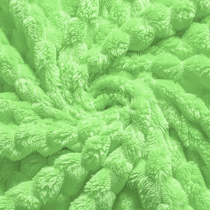 Vessia Flannel Fleece Throw Blanket, 3D Jacquard Light Green Fuzzy and Warm Blanket for Couch,Sofa,Bed,Chair, 300GSM Soft Touch Cozy Throw for All-Season Home Decor(50x40inch)