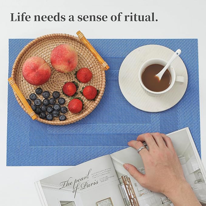 Leetaltree Blue Frame Placemats Set of 8 - Heat Resistant Non-Slip Place mats for Dining Table, Washable Durable PVC Vinyl Woven Table Mats(Blue Frame, 8)