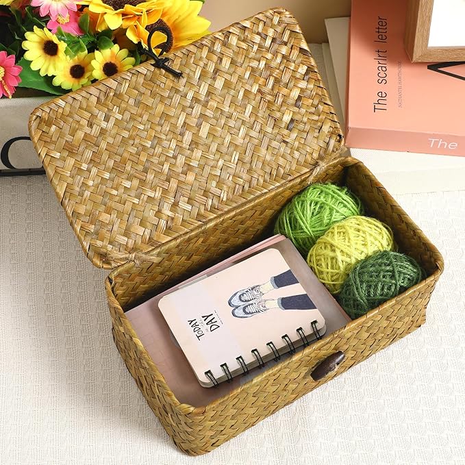 Seaweed Baskets with Lids: Seagrass Storage Woven Basket Straw Desktop Rattan 9 inch Hand- Woven Storage Basket Bins Container Organizer for Shelf Desktop Home Decor
